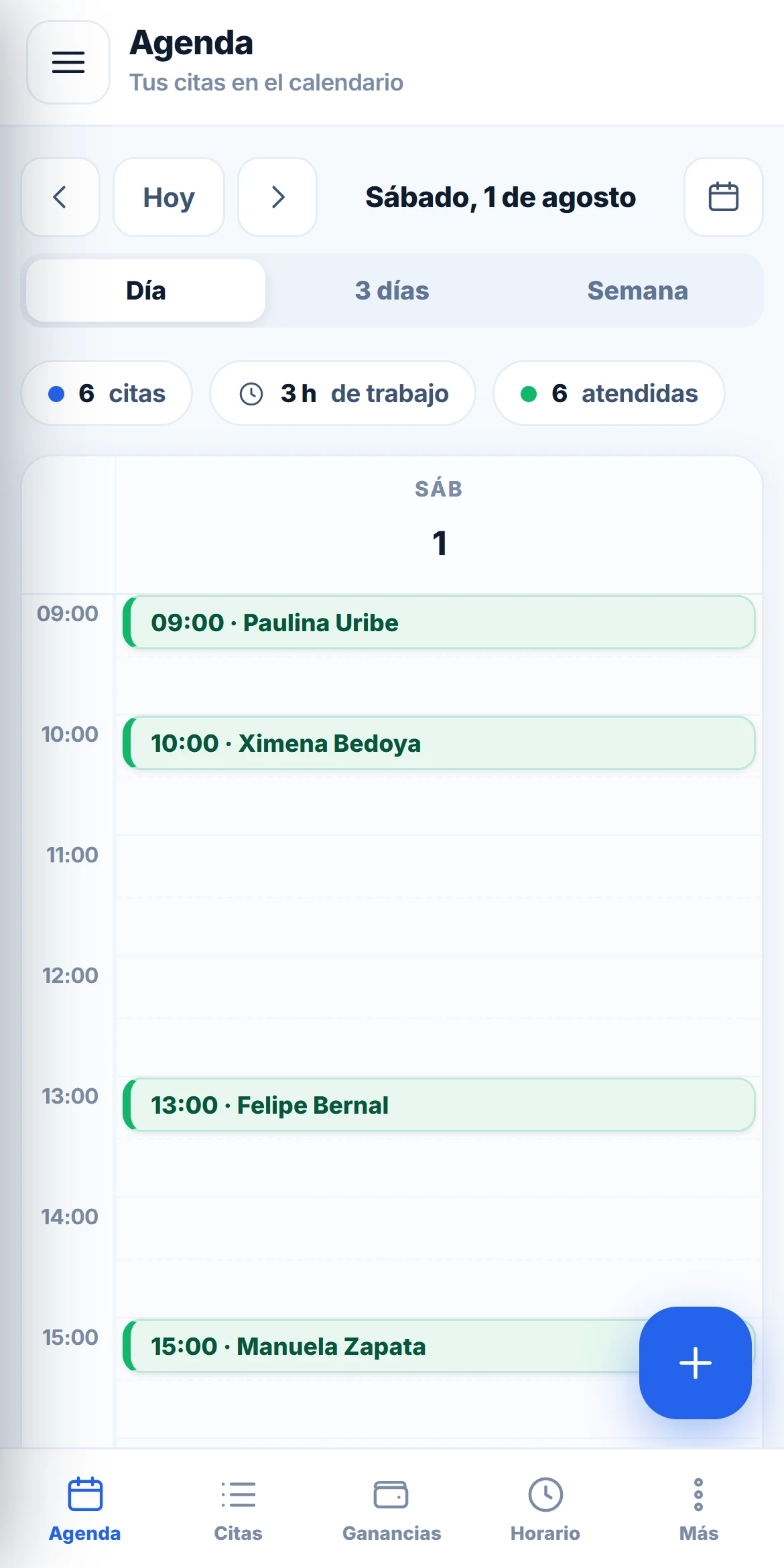 Panel del profesional en el celular mostrando la agenda del día